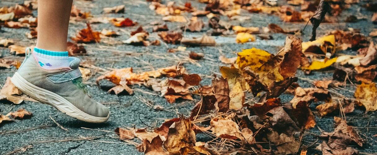 person in gray skechers shoes standing near dried leaves