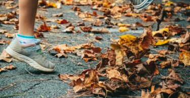 person in gray skechers shoes standing near dried leaves