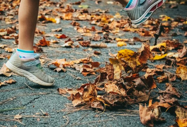 person in gray skechers shoes standing near dried leaves